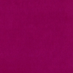 color-box