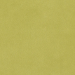 color-box