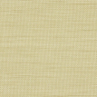 color-box