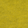 color-box