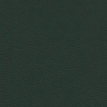 color-box