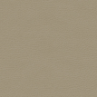 color-box