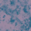 color-box