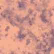 color-box