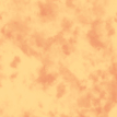 color-box