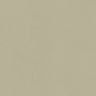 color-box