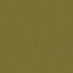 color-box