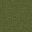 color-box