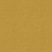 color-box