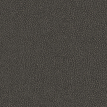 color-box