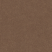 color-box