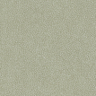 color-box