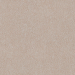 color-box