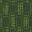 color-box