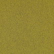 color-box