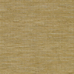 color-box