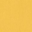 color-box