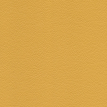 color-box