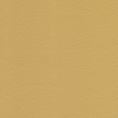 color-box