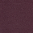 color-box