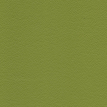 color-box