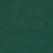 color-box