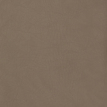 color-box