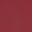 color-box