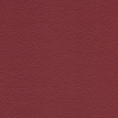 color-box