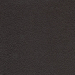 color-box