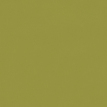 color-box