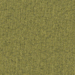 color-box