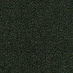 color-box