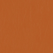 color-box