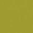 color-box