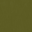 color-box