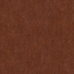 color-box