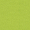 color-box