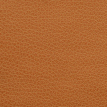 color-box