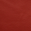 color-box