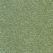 color-box