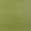 color-box
