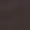 color-box