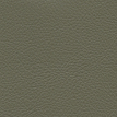 color-box