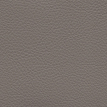 color-box