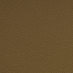 color-box
