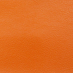 color-box
