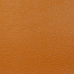 color-box