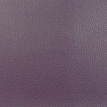 color-box