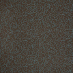 color-box
